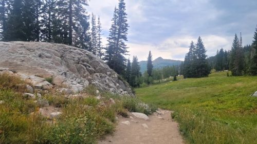 A sandy path leads through a grassy area with large rocks and tall pine trees under a cloudy sky.