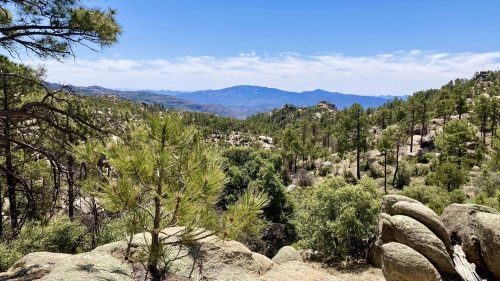 A scenic view of rocky terrain and pine trees under a clear blue sky, with distant mountains in the background.