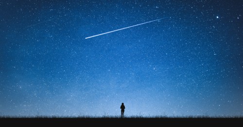 A shooting star streaks across the sky underneath a person at Haw River State Park, North Carolina.