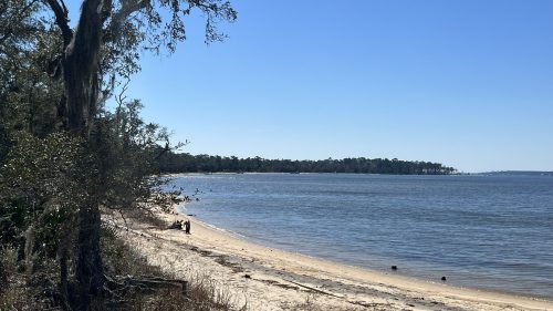 A serene beach scene with a clear blue sky, gentle waves, and trees lining the shore.
