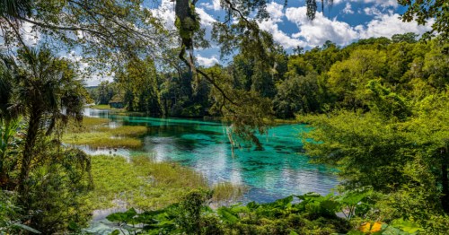 Rainbow Springs State Park in northeastern Florida