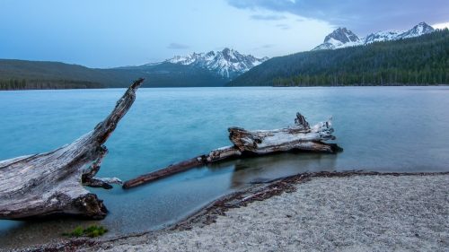 A serene lake surrounded by mountains, with driftwood on the shore and a calm, reflective water surface.