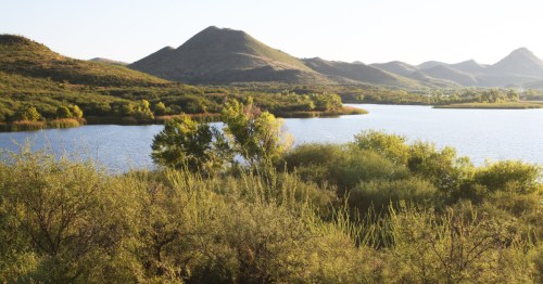 Rolling hills and calm water at Patagonia Lake State Park in Arizona under soft golden light.