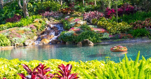 A spring garden in Orlando, Florida.