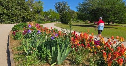 A spring hike in Hampton Park in Charleston, South Carolina.