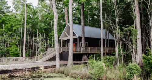 a treehouse cabin set in the woods in saint amant louisiana