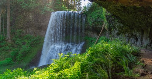 A waterfall cascades over a cliff that juts far out, allowing for the Trail of Ten Falls near Silverton, Oregon, to cross behind the falling water. Green ferns and trees surround the water.