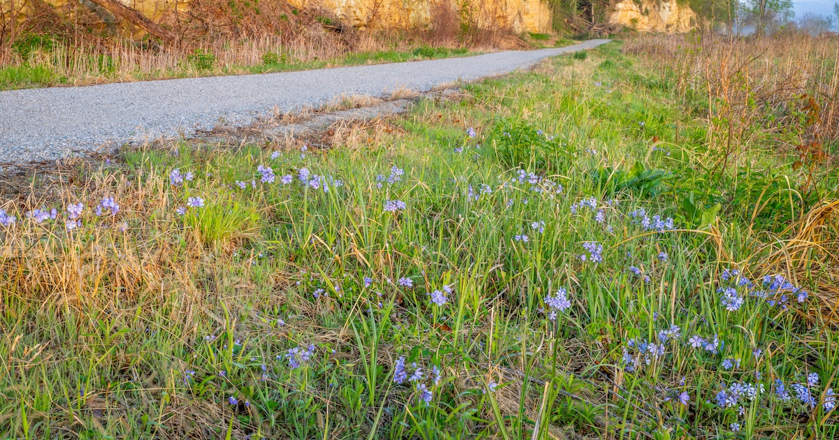 3 Picture-Perfect Nature Trails in Nebraska for a Spring Hike