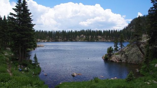 A serene lake surrounded by lush greenery and tall trees, under a blue sky with fluffy white clouds.