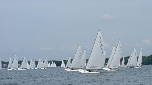A fleet of sailboats with white sails gliding across a calm lake under a cloudy sky.