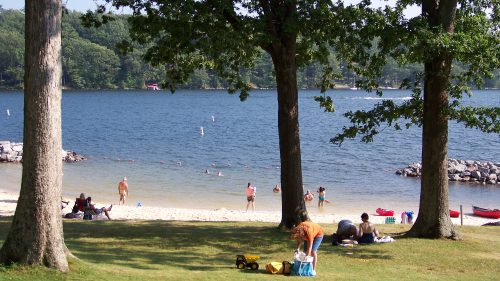 A serene lakeside scene with people swimming, sunbathing, and enjoying the beach under tall trees.