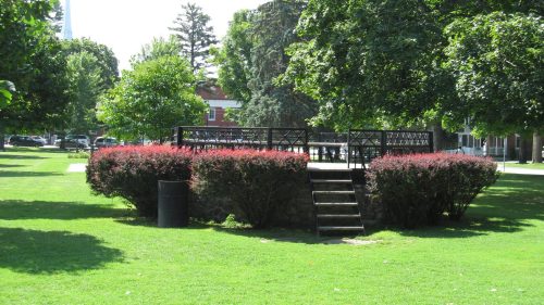 A small wooden platform surrounded by green grass and bushes in a sunny park setting.