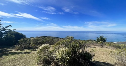 Looking out across a desert landscape toward the Pacific Ocean at Andrew Molera State Park in California.