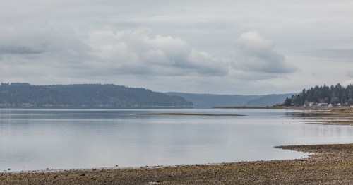 Looking out toward a large body of water on an overcast day at Belfair State Park in Belfair, Washington.