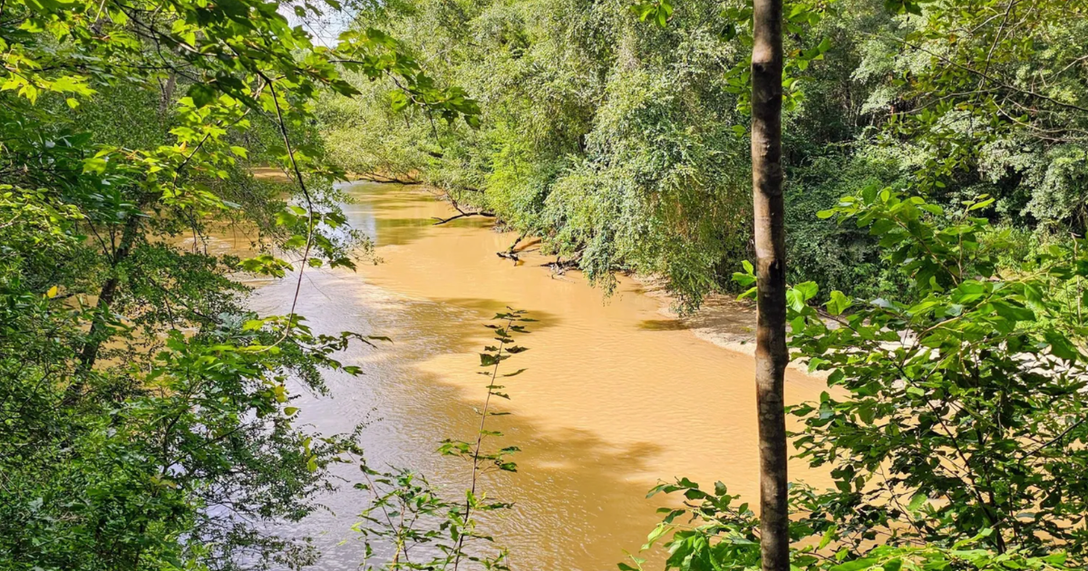 Take a Unique Adventure On Mississippi’s Best Paddling Trail