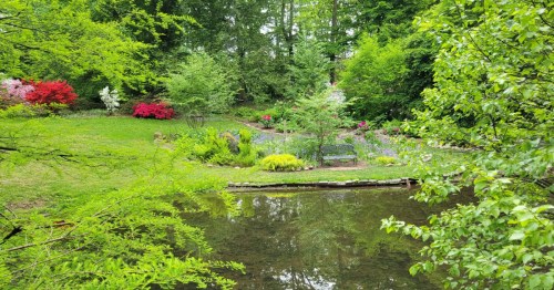 A view of a botanical garden in Albertson, New York with a pond surrounded by spring flowers and a bench.