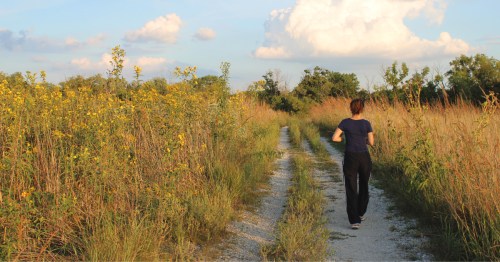 A woman wearing black, walking down a gravel path between tall, golden prairie plants. She's on a dune hike in Illinois at Braidwood Dunes in Braidwood, Illinois.
