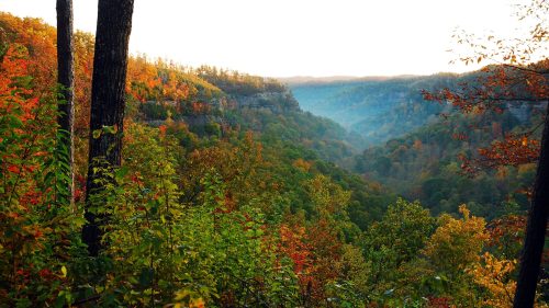 A scenic view of a valley surrounded by colorful autumn foliage and misty hills in the background.