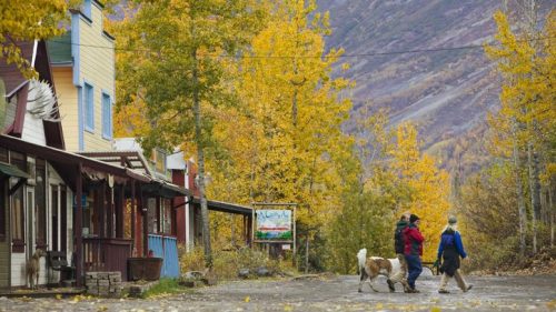 A quaint street lined with colorful autumn trees, featuring two people walking a dog past charming buildings.