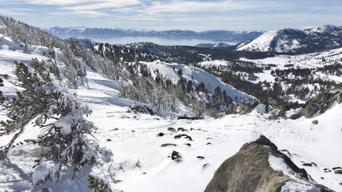 A snowy landscape with rocky terrain, pine trees, and distant mountains under a clear blue sky.