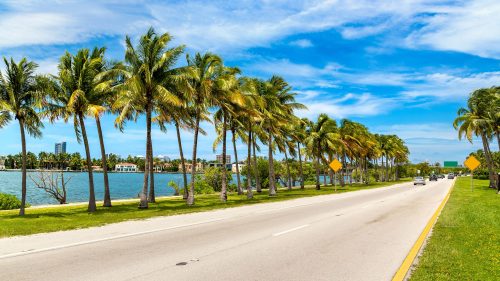 A sunny road lined with palm trees beside a calm waterway and blue sky with scattered clouds.