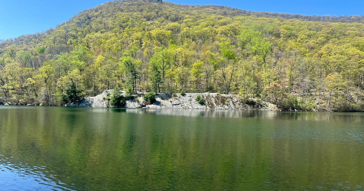 5 Picture-Perfect Nature Trails in New York for a Spring Hike