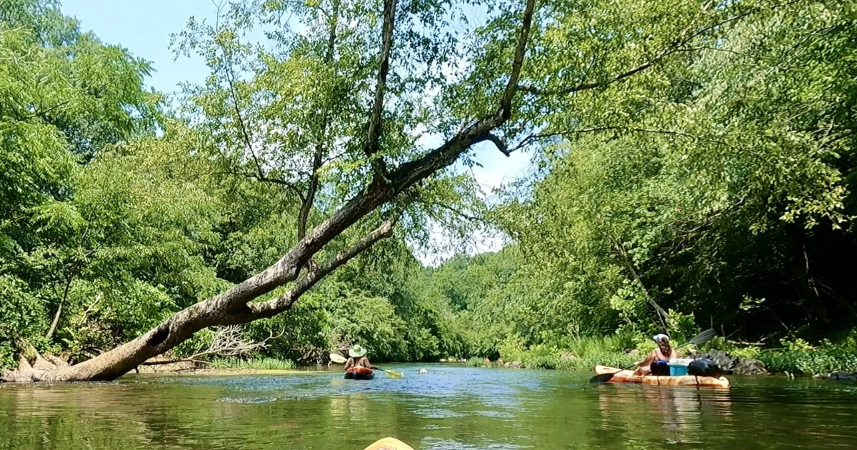 Skip the Hikes and Try This Alabama Paddle Trail Instead