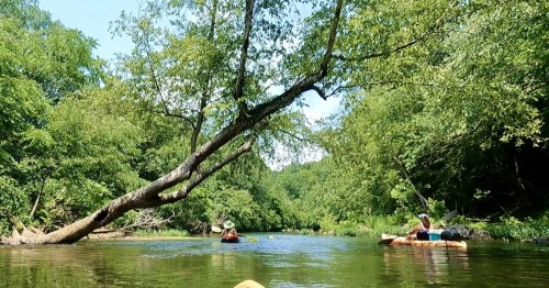 People kayaking down the Terrapin Creek, one of the best kayaking spots in Alabama.