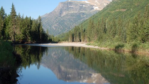 A serene river reflects mountains and trees, surrounded by lush greenery under a clear blue sky.