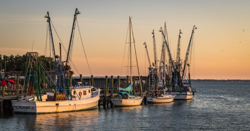 A harbor full of sailboats and fishing boats at sunset in Mount Pleasant, South Carolina.