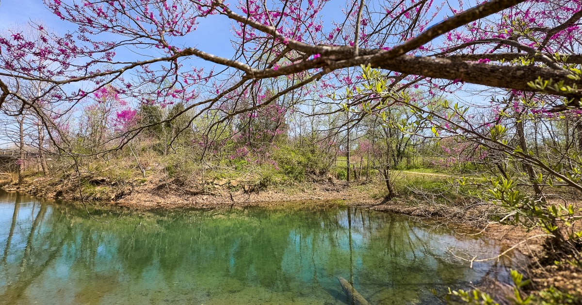 This Secluded Campground Near the Ozark Riverway Is One of Missouri’s Best Kept Secrets