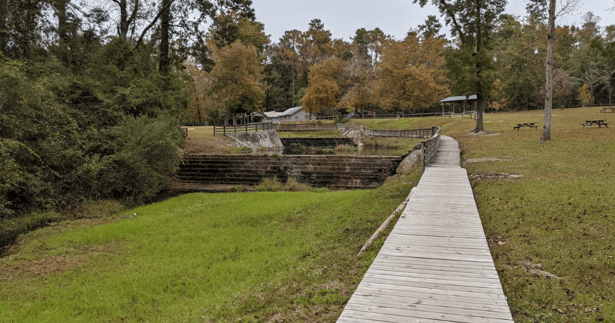 The Small-Town State Park in South Carolina Locals Want to Keep to Themselves
