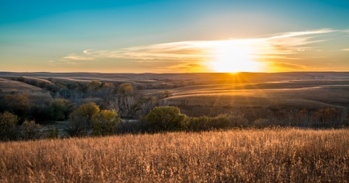 A fiery sunrise over wheat in Kansas.