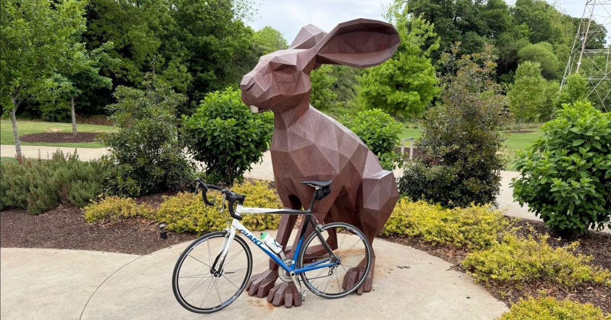 Skip the Hikes and Try This South Carolina Bike Trail Instead
