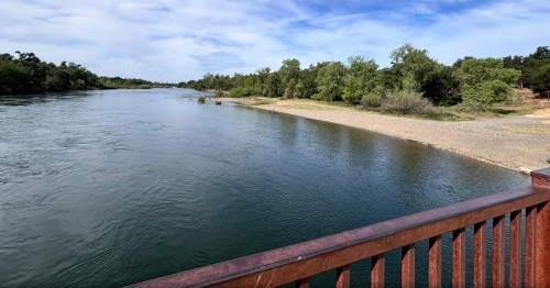 River views on a summer day along the American River Parkway in Sacramento, California.
