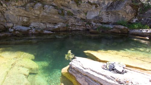 A serene natural pool surrounded by rocky cliffs and greenery, with a small plant growing on a stone.