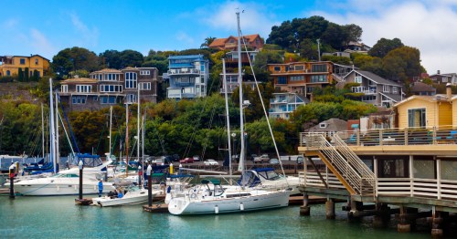 Tiburon, California, showcasing a few houses on a hill overlooking the harbor where sailboats are anchored.