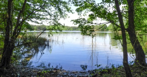 Trees frame a view of Trace Lake at Trace State Park, a small-town park in Mississippi.