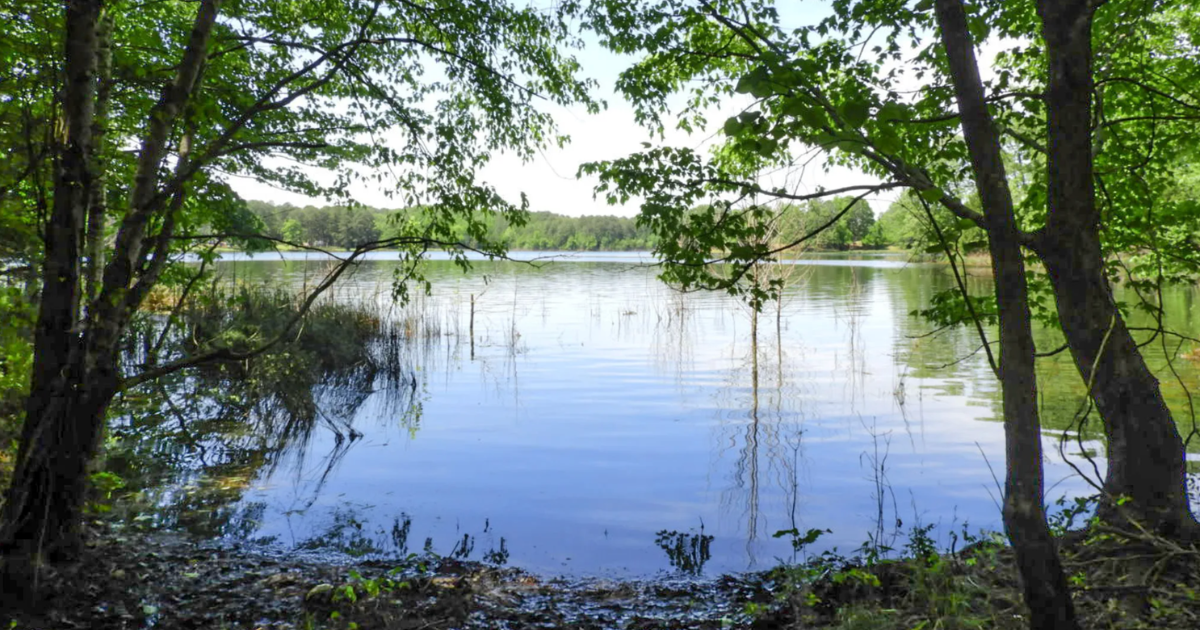 The Small-Town State Park in Mississippi Locals Want to Keep to Themselves