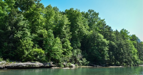 The riverbank at Audra State Park in WV showing green trees on the edge and a blue sky overhead.