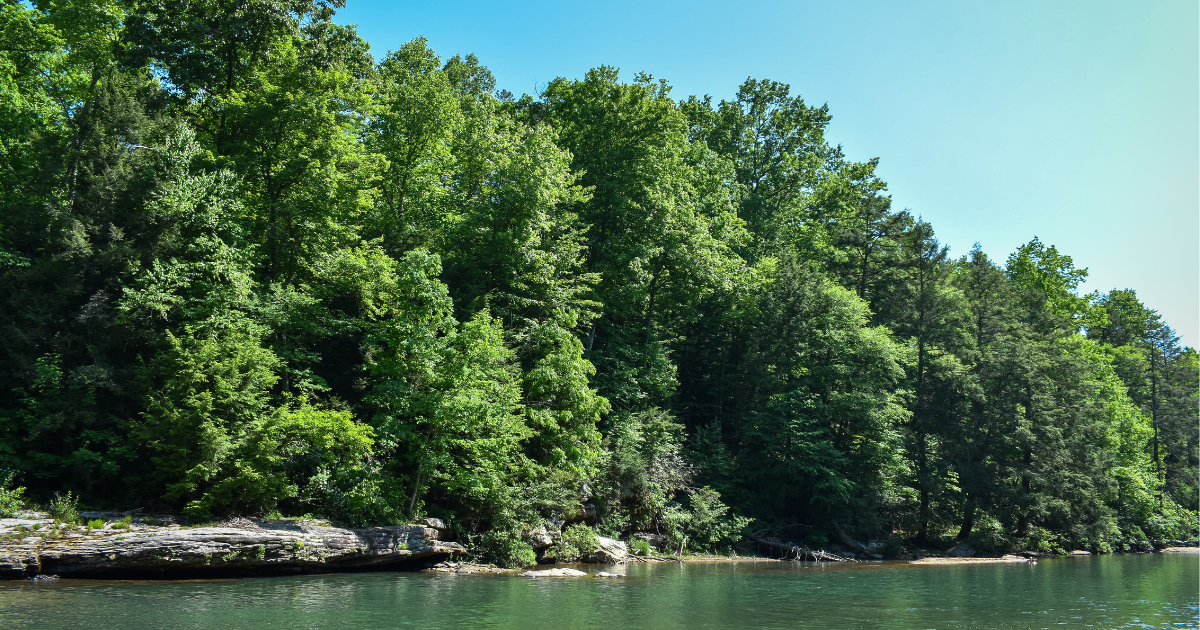 The Small-Town State Park in West Virginia Locals Want To Keep to Themselves
