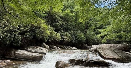 Stream along Big Creek Campground, Tennessee