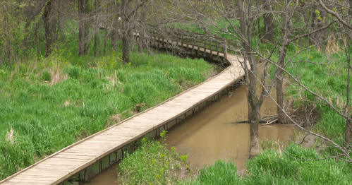 A wooden hiking boardwalk curves through a flooded forest area in Pershing State Park, Missouri.