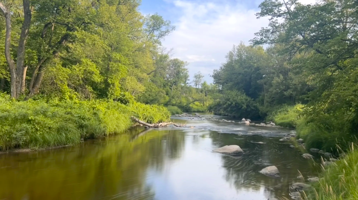 The Small-Town State Park in Minnesota Locals Want To Keep to Themselves