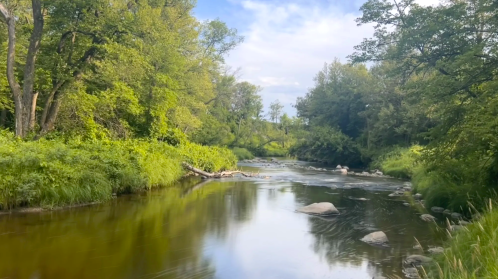 A calm section of the Buffalo River flows past rocks and dense green forest on a summer day in Minnesota.