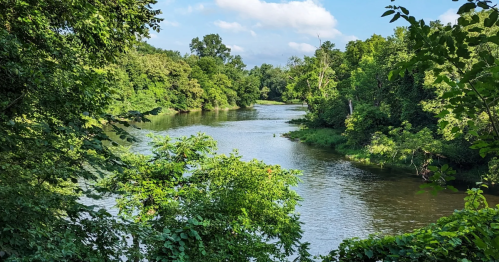 Scenic summer view of the Cannon River State Water Trail winding through a lush green forest in Minnesota