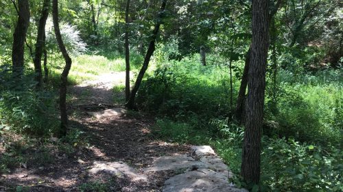 A serene forest path surrounded by lush greenery and trees, leading into a peaceful natural setting.
