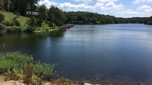 A serene lake surrounded by greenery and trees, with a clear blue sky and fluffy clouds above.