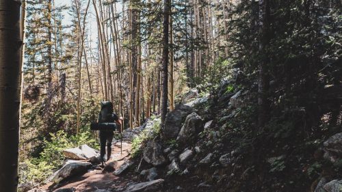 A hiker with a backpack walks along a rocky trail through a forest of tall trees.