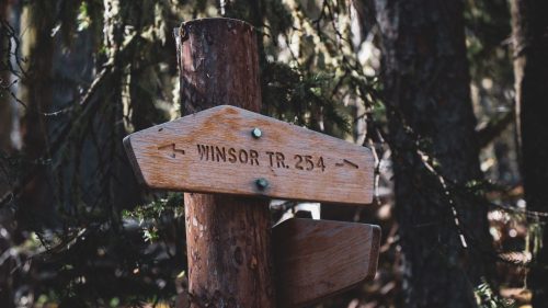 Wooden trail sign marked "WINSOR TR. 254" in a forest setting, surrounded by trees and greenery.